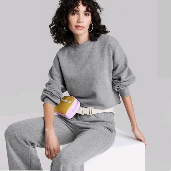 Wild Fable Gray Cropped Boxy Fleece Crew Neck Sweatshirt - Picture 1 of 11